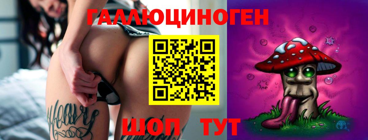 Унеча  Псилоцибиновые грибы мухоморы  цена наркотик  Вход с VPN  Псилоцибиновые грибы Psilocybe 